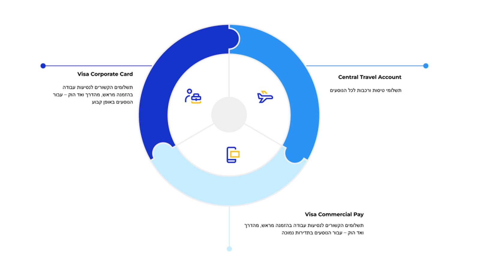 visa pie chart